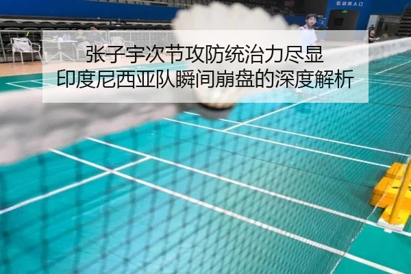 张子宇次节攻防统治力尽显 印度尼西亚队瞬间崩盘的深度解析